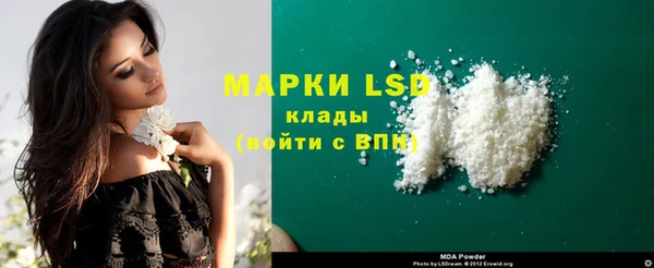 спиды Богданович