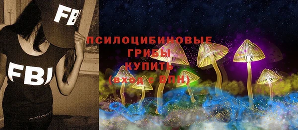 спиды Богданович