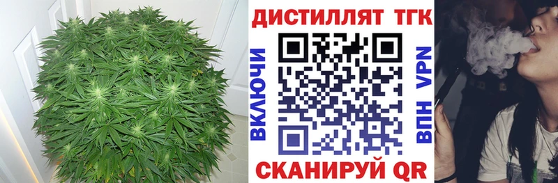 ТГК THC oil  это наркотические препараты  Новосибирск 