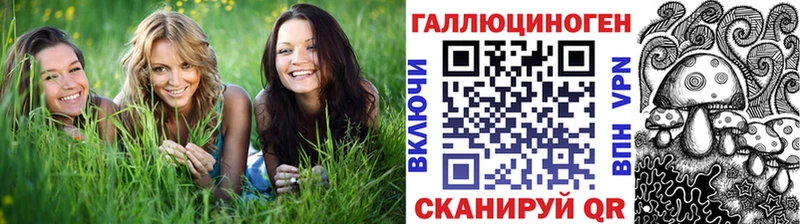 MEGA онион  Новосибирск  Псилоцибиновые грибы ЛСД 